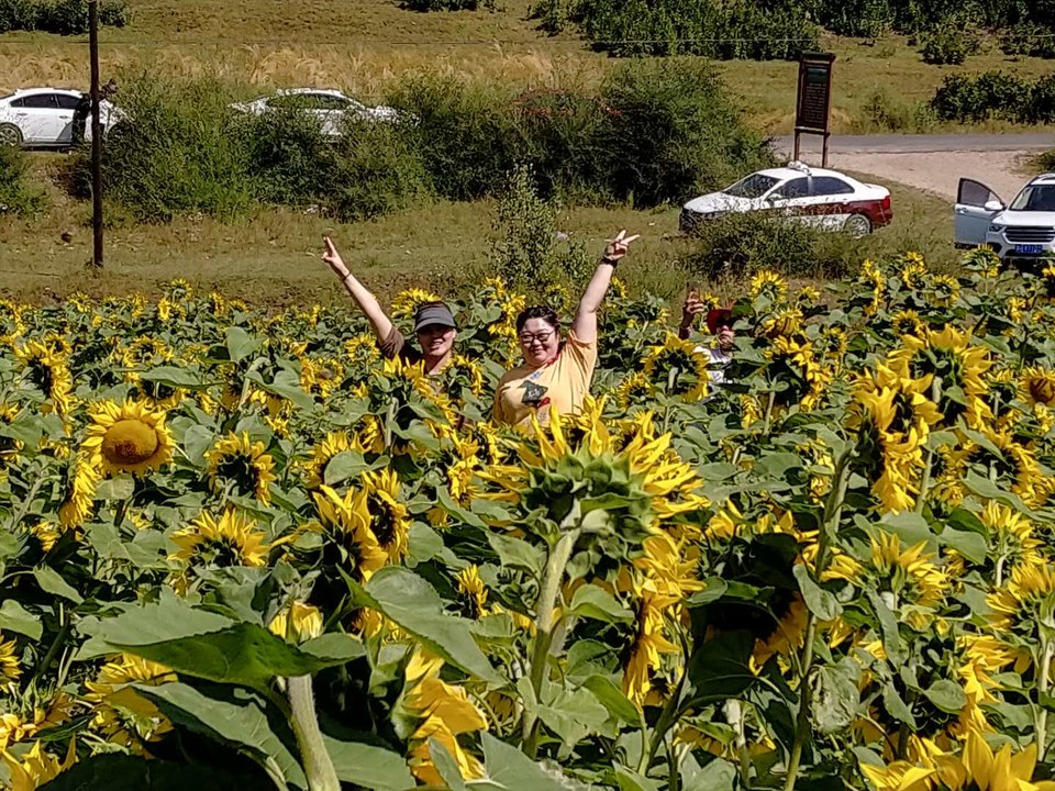 FFYQ_UJ4T7p8k7VXe1eUETptir7_fK8AXl1rVjeXqbAcweM2FsIdB6W6FQzlL2Gm