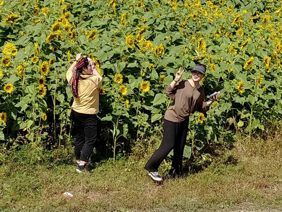 xf4YCZ2P0WgAuzqtFmYzBkKYWKkGZd_ldn5umJp-wrioyjKK8UOD3ytATrgXU5Vz