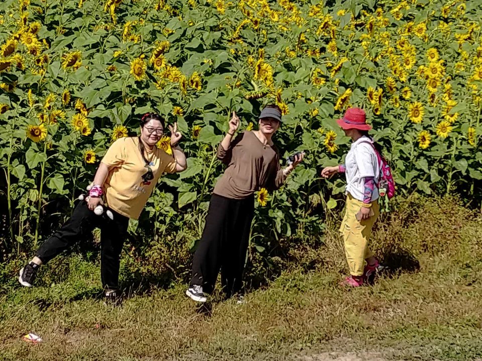 WSkSw4RU787kZH_2xTYXW1RpmrdyOc4OTsTWuq79LXe6h49fg-M70YS_MzFVsMRf