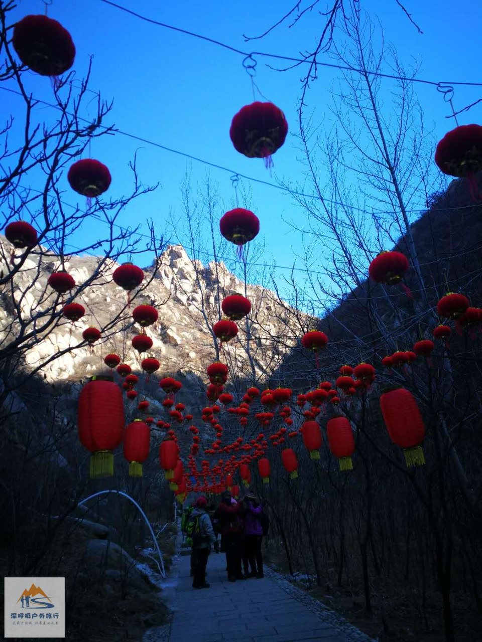 T6ipyyWidZ7CGgwImJm01xKsLNuWyisfhAhDDjgKcEGCtncolLx7AzEhZsrb16qL