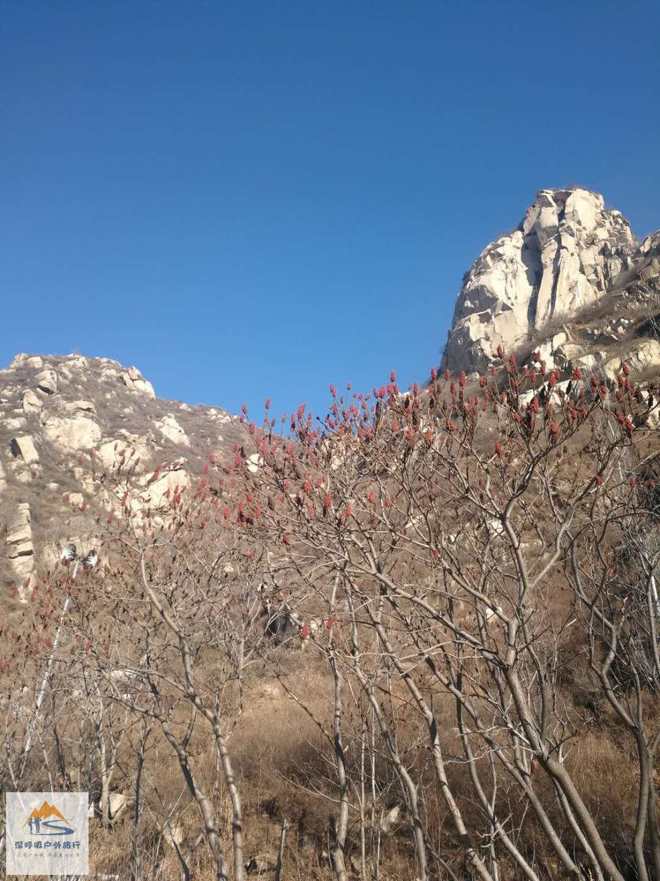 yz8a60SlfsJVF2NgyHTscWvvhUQn6-Y50vFJIIKX32rcJJk6ZzIkyHn23X2gcowS