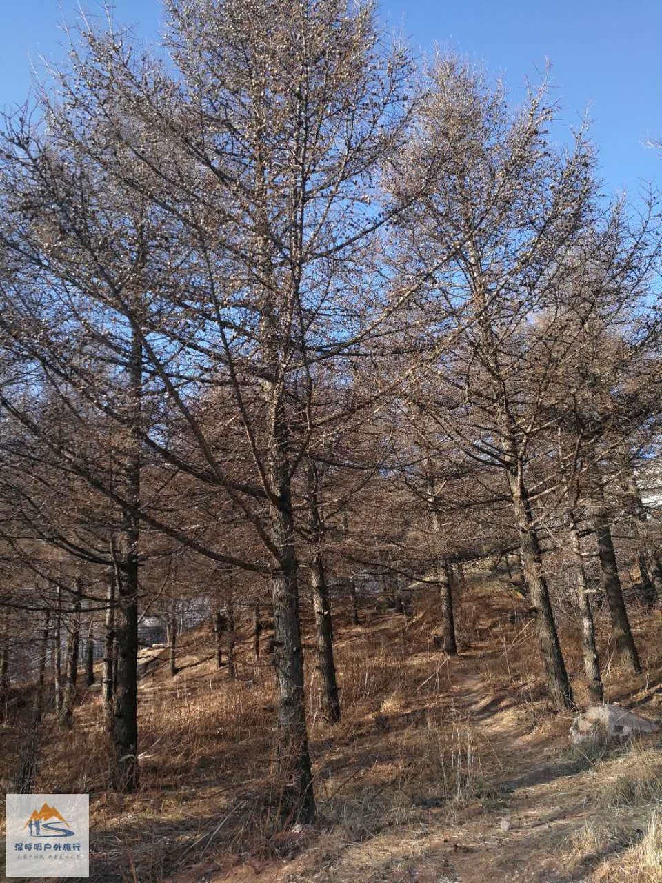 0tsgLuT8BIg7bEF9x96AEaTz0PNiTgQv_25pu5FaSkHJIwvRidhB8Gf3QIgyR40W