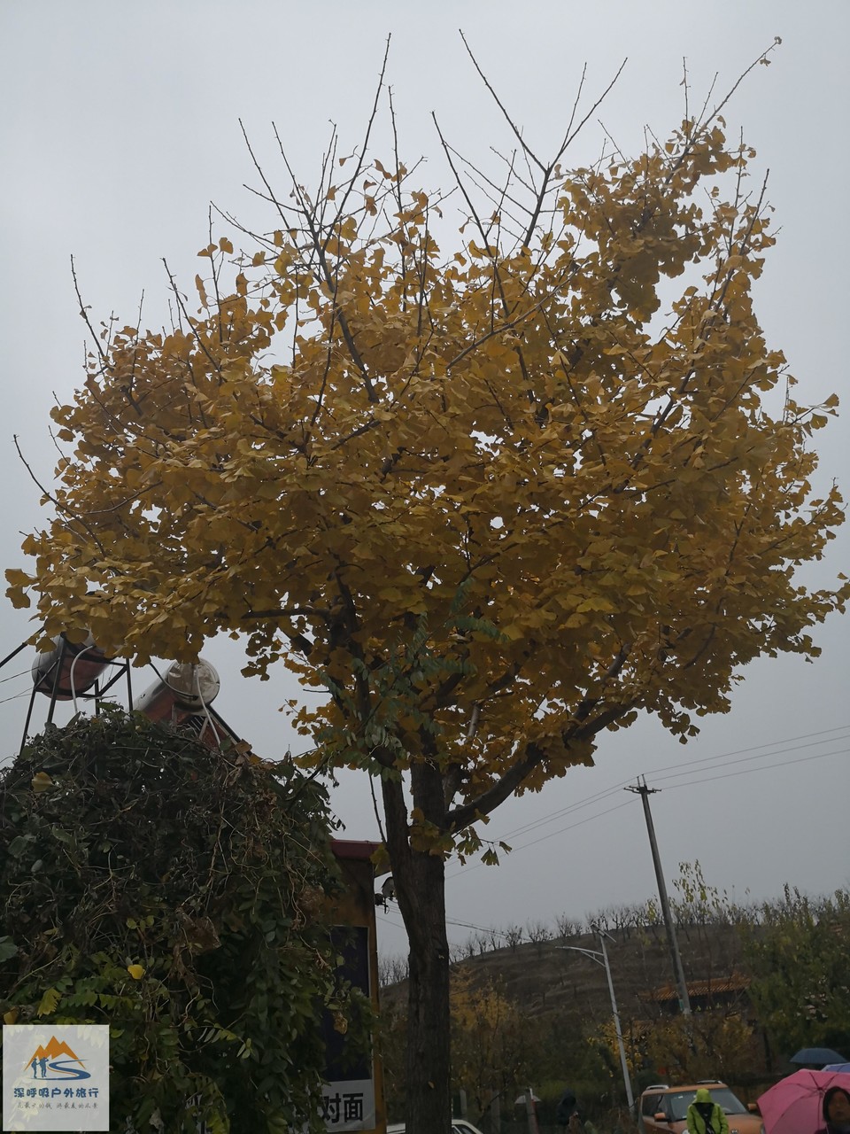 Vkv5xraRqnrhtJnzA_B-kA-4h6RwicrDpZ_3zD3cz7Ig-2xSAxF69fAxWbZ53mMz