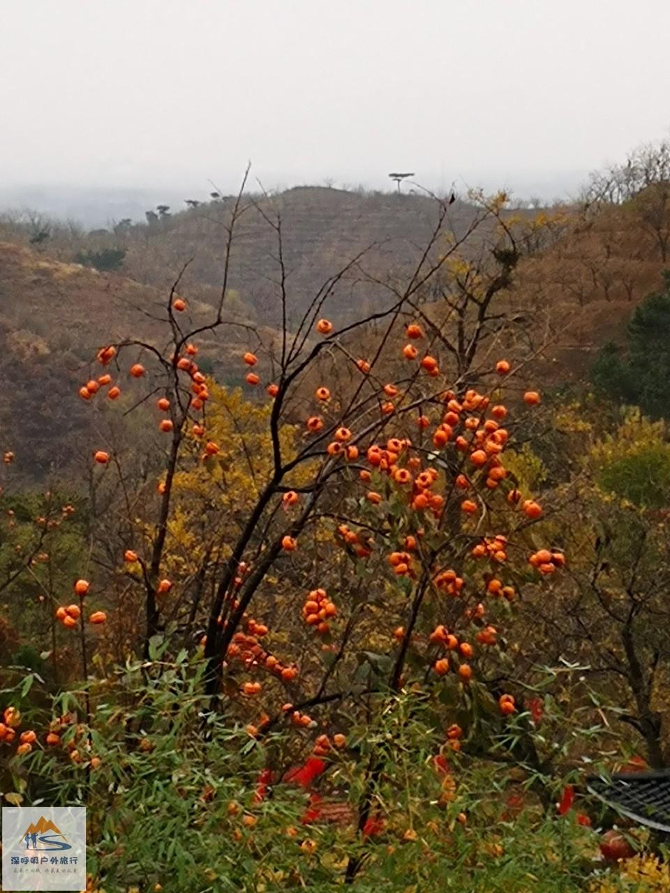 OWYWWxTjdae7AGRRUHLgDbeouwtRA3kHLZ8XvRAwlf37ybc_R3ajdkgTPoUqHPfe