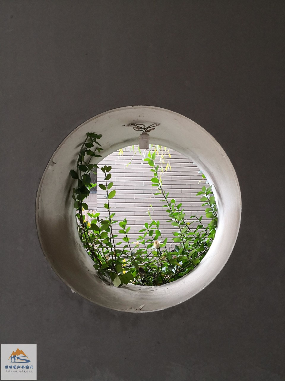 OH8byF9dVyUGz298eNa9Z2BqIv5t3eMV65H72NOIq4LQe2HRVliKk16wbZDAoQ2Z