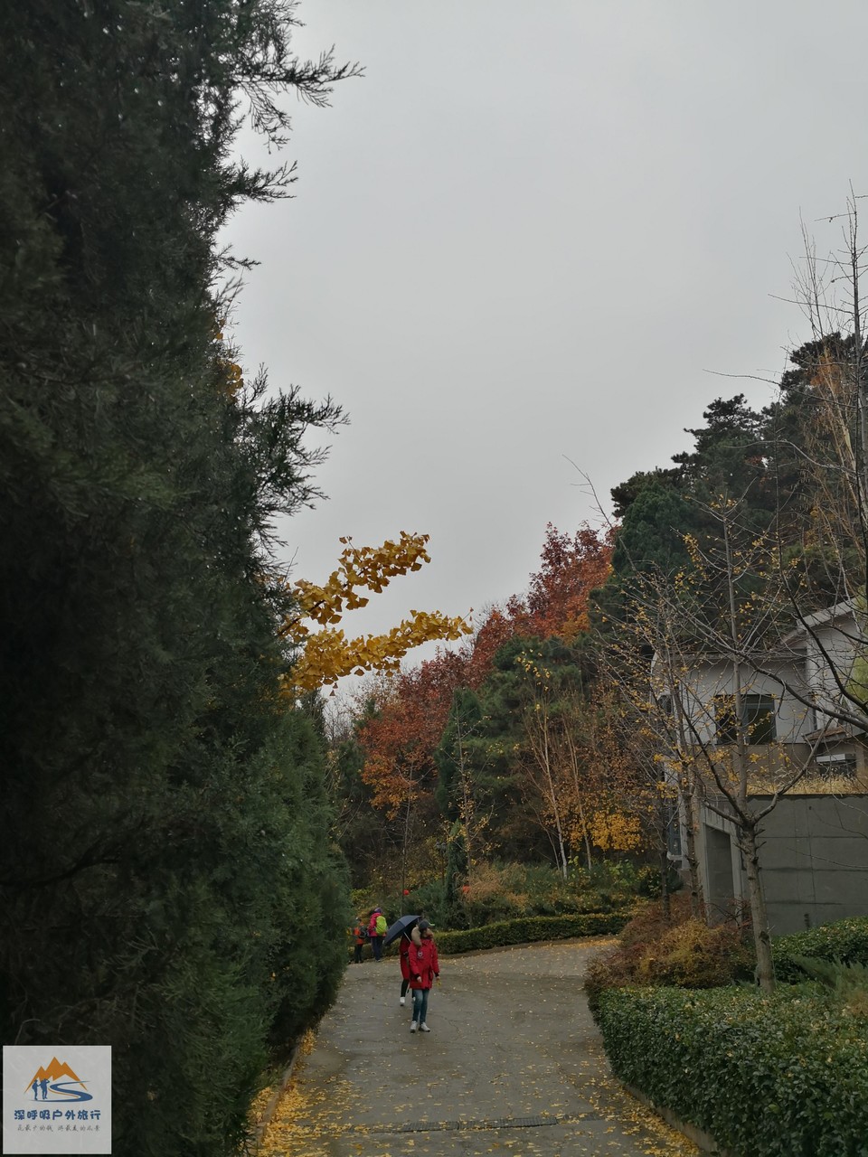 haJ93m12HxNVBsjRl2VMBD_IybxYAxWqzEpdWGpaMF22TyZJzdKiOhoD4iCnt71c