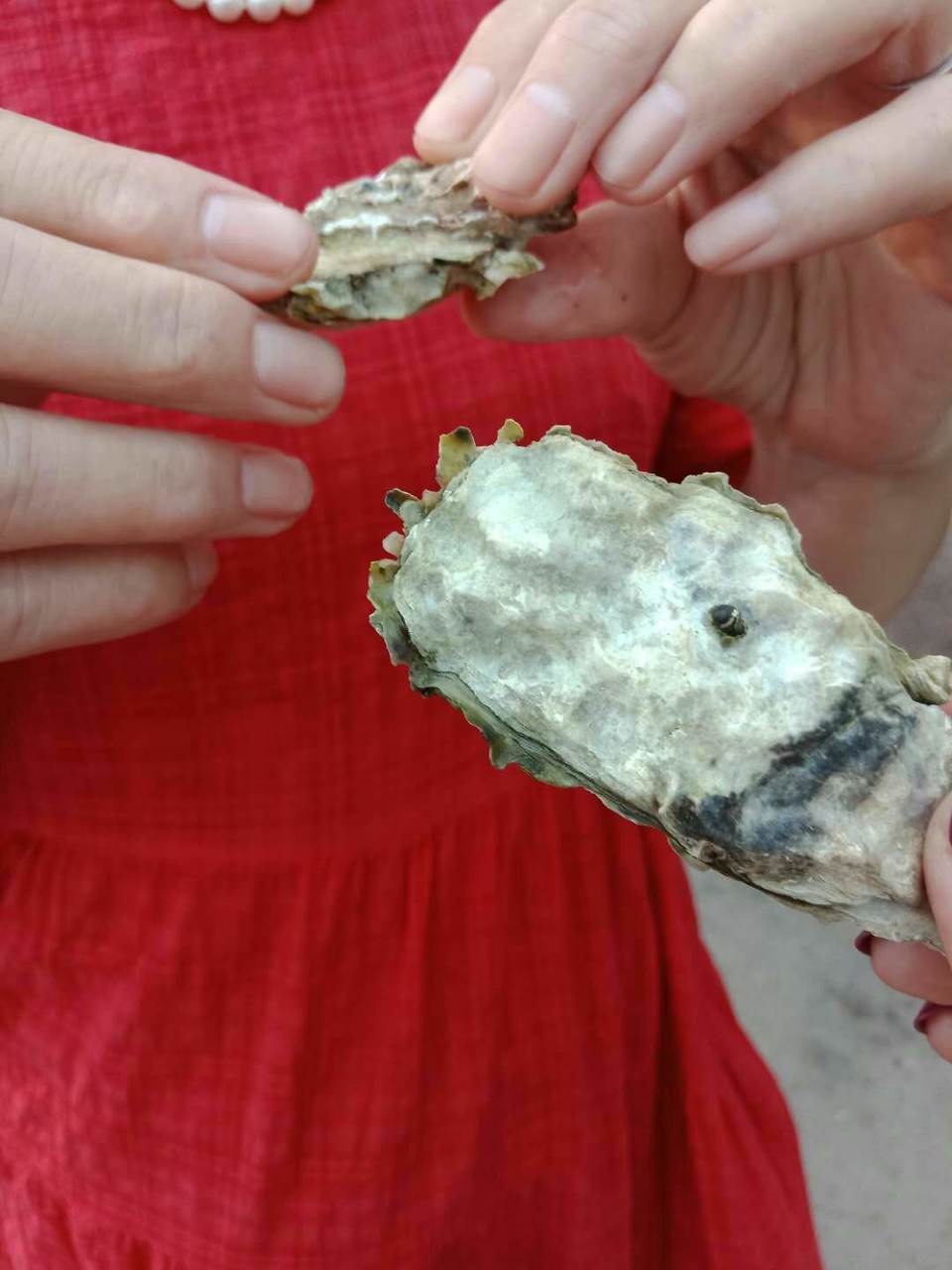 q9VTu-kKeX5fT-CyL1bXPrAZ3MqoHx2UaDHz12c7NjKFo-TUeexjtoPj-yew-s9v