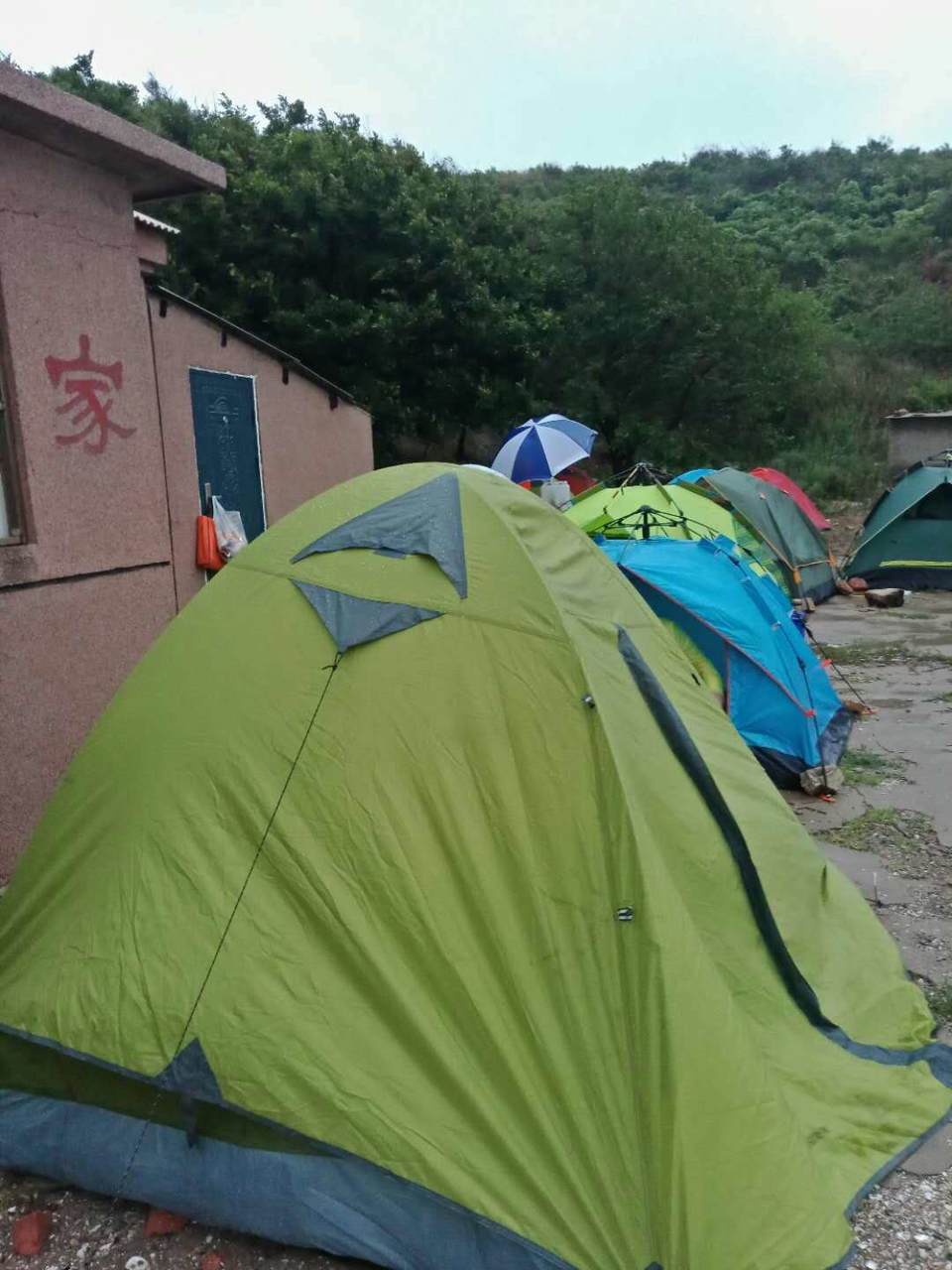 WF3GFH8gknYYc7NKP7mxwHnpdK9UK7Pl-Egqp331fGSegeynUHmY6H4JeVf3U3Cr