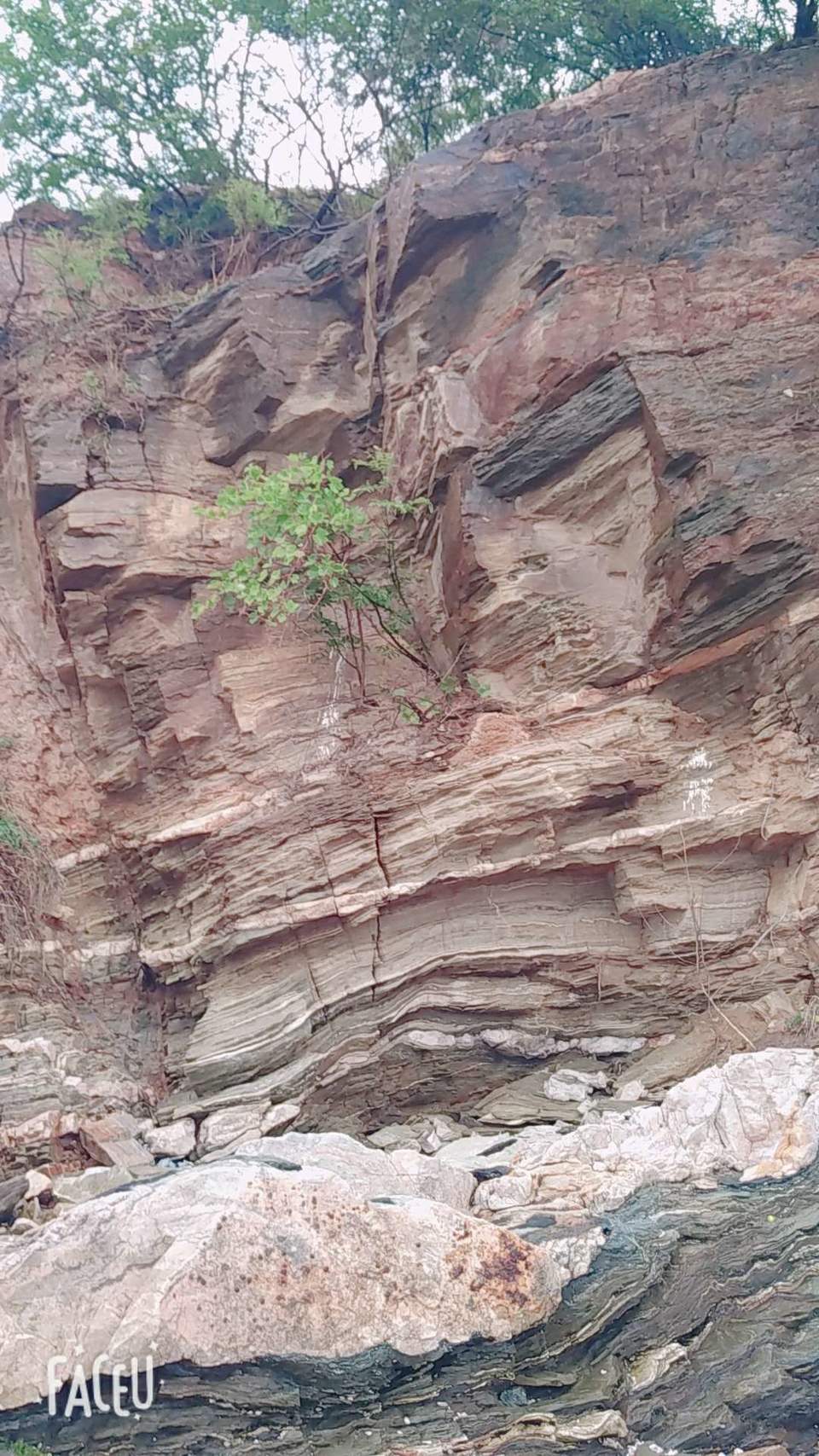 w3TXGGSnOBT_QDZiWdVRJF2aNiI6pspyYTXJHVe8S2GH9LD8s1_J3XHCcgpoh8CU