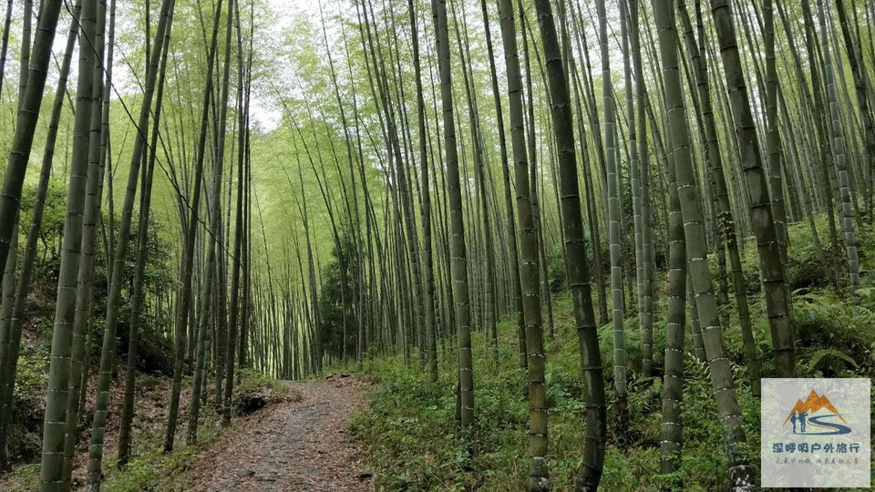 4dV4nwNs2rRH9t5sfn5O_AylGUd2UeoWYK40Xi_WJzCeEh--8Uvw9OyUJ27_QySP