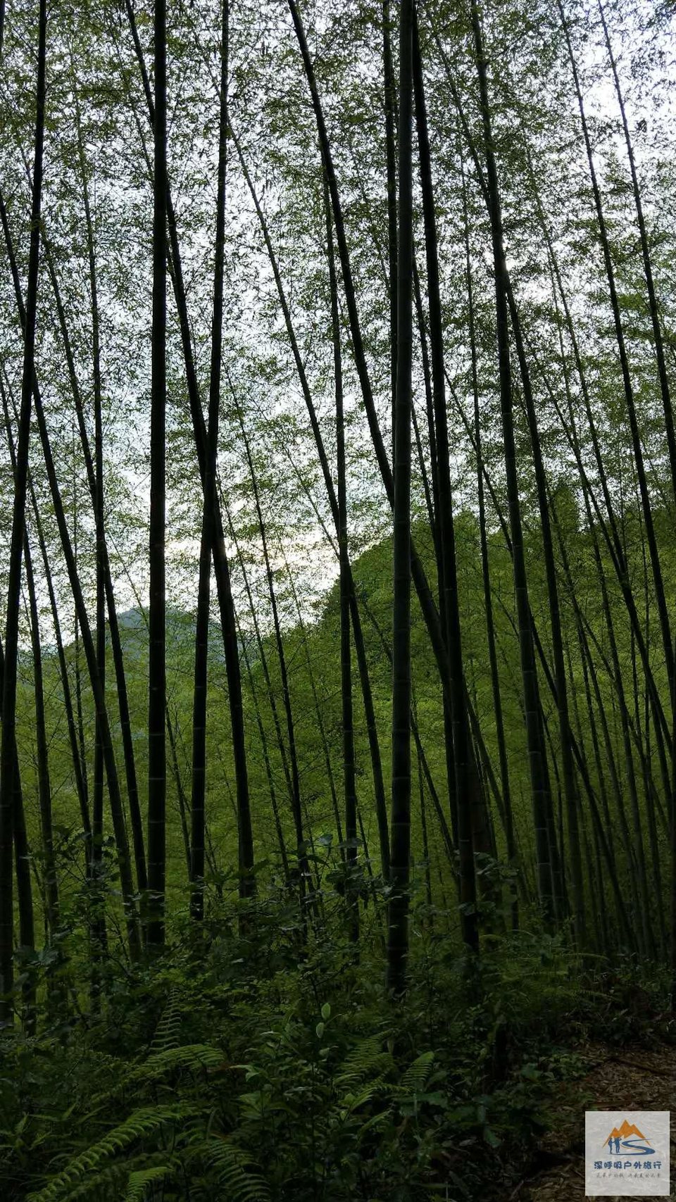 RohAKJIJuMyOwMjd5UoNsi6xb9a14wXDtPyLACfFZwHpHGQT9QeEAc97i-K0tmP_