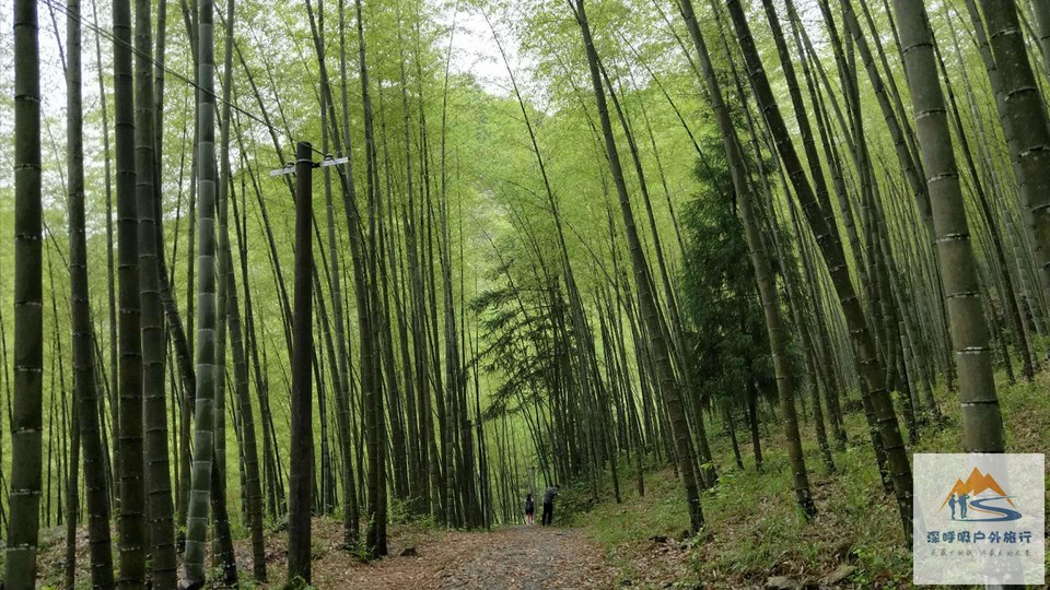 vd8knxgYMEUzi0geabMZXp5VhxwA4hHB_i5uujy6_dqMZdLQ2_5YdAK1Zk1B8on3