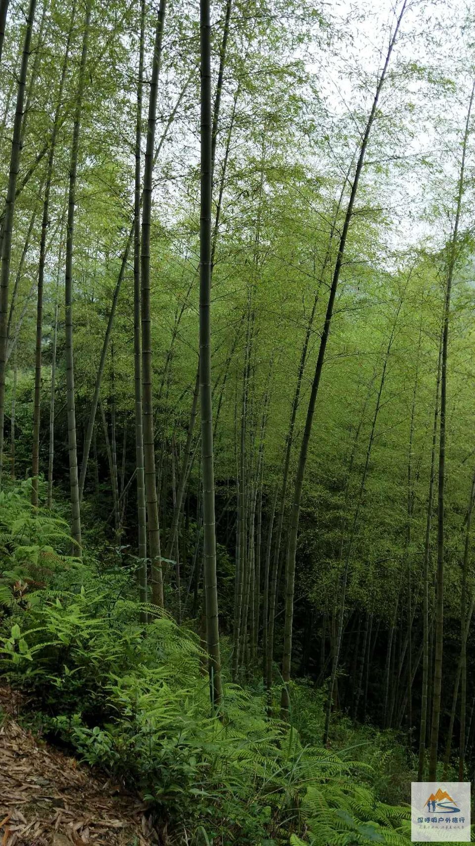 IuaHRy-QDnOpKKEZ-mZ0UWo8wLIimjavgbT3ekGrs99ojijPPRmmNq2obETo1sau