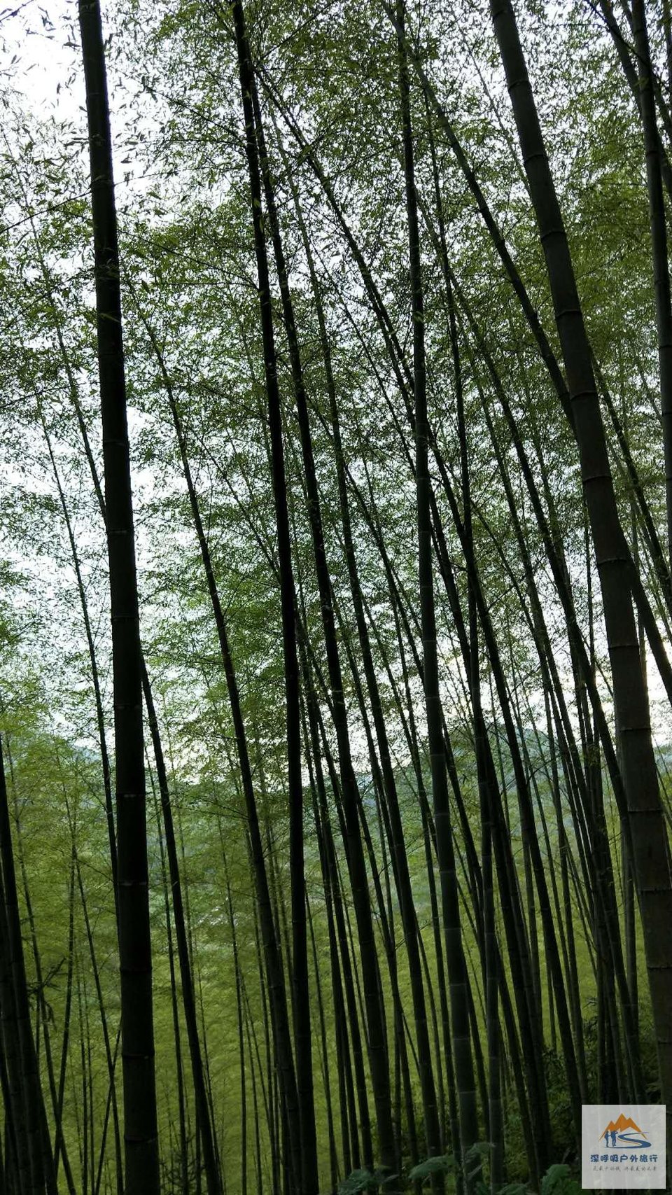 0cVUF_Ac3n5gcFxtRTD1Xh487wgZu4FwCvyPjb0K25y5ZOJQH-51p3yx0w79SIWi