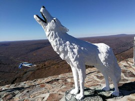 JkLUEE4fr2-OHbO-K6lRgM4YtTlvMsRePPJq4hyqjjdS44FSGmIUCQ-TT2ufai2g