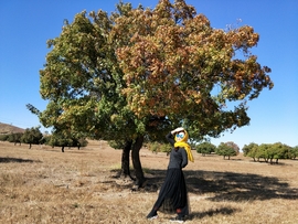 Y0-BdhM_fv5xwwnMPYfzZNLLN_VCYOoBxbnP0iAlcte3h5Rum68Oxqght2U9qAba