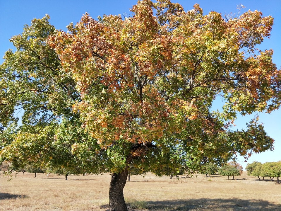 KD9M3Gm6_TU8YGjRl_NnvgYhzI8uJY3L48DNDWTPUNdFT_z0M0mQghmLXxEIG7VD