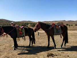 pKnlh-71z0SjnMAgNaYH-oiABUg860fgMELxD0kkFSF2EYWgoN36X3mM4jSn96Uk