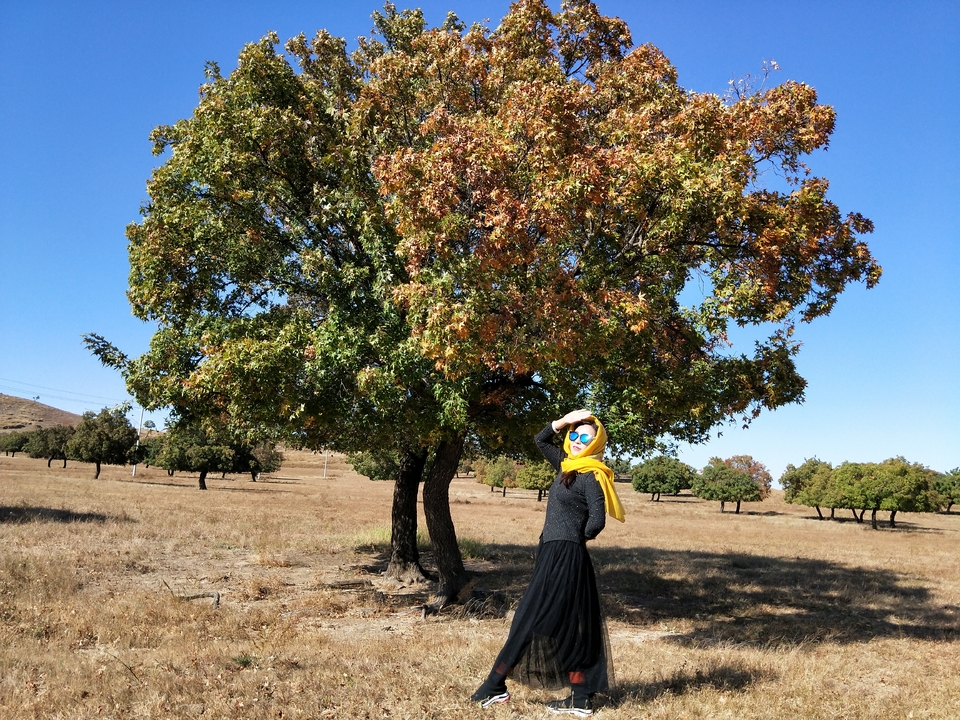 Y0-BdhM_fv5xwwnMPYfzZNLLN_VCYOoBxbnP0iAlcte3h5Rum68Oxqght2U9qAba