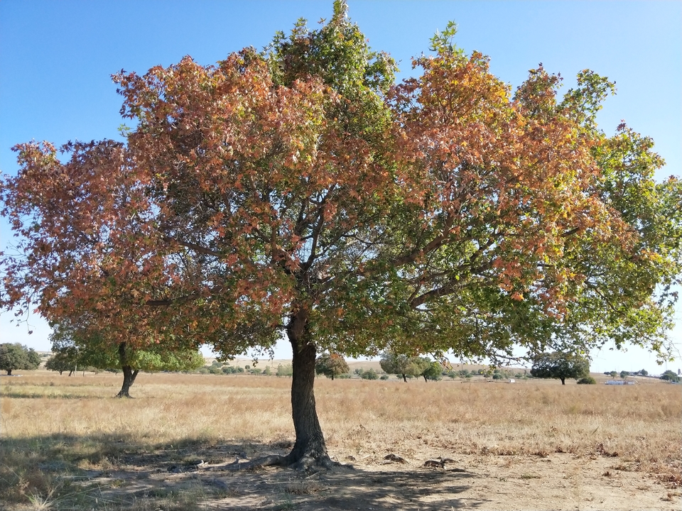 Y5E4DvzBNzqfrObrhgQ4LQ-H9kJrArSMDszIMBQzgmSj_QLtAoK8W0QmjVzrM5_B