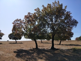 vEoU7NEJJ5iwjHiQZqQr6Grn3PzH5OR3vwrNhHDaU4RZOXCqi59wIMN4mOxSyNci