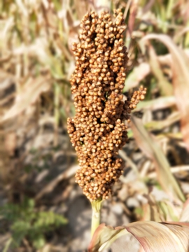 vi-voQ6_uWaEFbBM_s5_lTfHE0Lh6AbOB2dn7-ucCYaAWFn5_T2x98mBeta2vQ1y