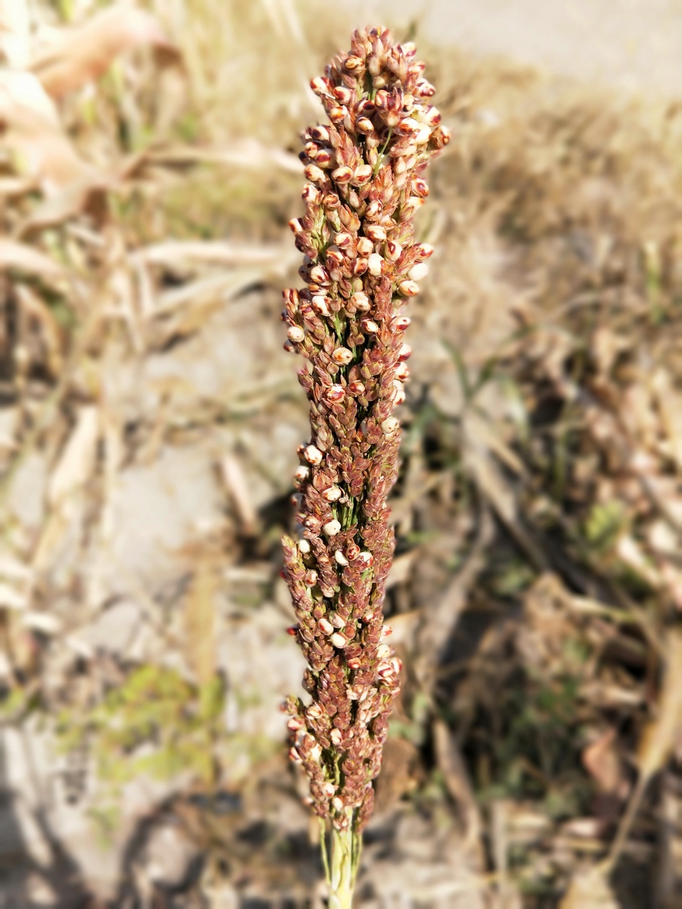 H4GumQo0QqcPaMda4V6acIo9piCUVMCPJ9AP8Ozv3r8YBz0HQQQwnovcqSZiitI-