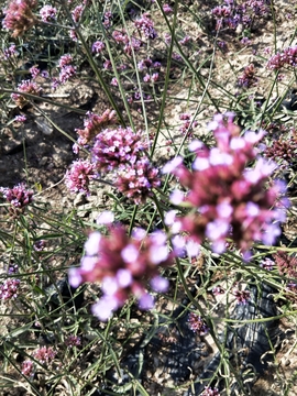 t_GClW0mRDzhTEuDf9EA-foJ2aHBRmTQ3tTRQ-rwiEtx3eGUeBzsVBYa8OeDv6xC