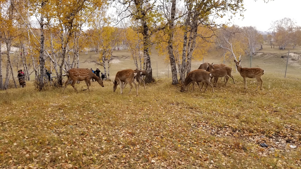 KLMvlitCOBuRKrnPNRYlKT8NWJUk4Up6vUQp0oU1_IQ4cdruJCCzNANt4AIgB2F_