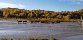 RtjrIbXH7-TW_MvbCpFbnnxkJLIpZnikeTprksxe-ySTfQ9s3VQPoZbGIbFoMShU