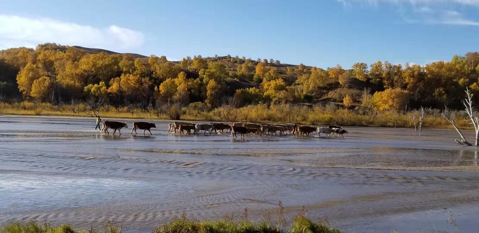 RtjrIbXH7-TW_MvbCpFbnnxkJLIpZnikeTprksxe-ySTfQ9s3VQPoZbGIbFoMShU