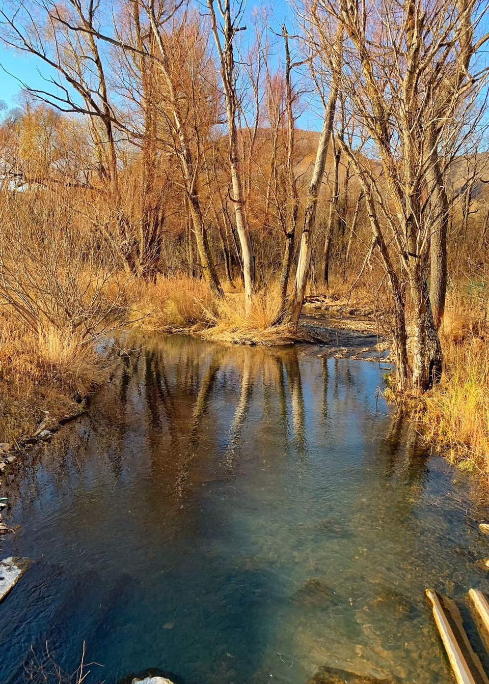 1b3jSQH-qnCtN8dy9gigyBnX_yhSfX2apraSdenzp-OMvWVjQDohXnVdKPTuI66H