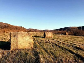 CNumXNWZlAoLDrAYMIv-LP1Se1pwJvLoMEjJ98KPBeVPfpLZEs7wvGKfxncHJxZX