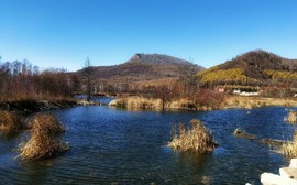 _lNmukximRCUIhFm70PQKghMv13gJsojqoReP6tl6YwxC8XPxC4295U5hiVzDwPf