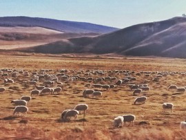 VETO87jy2Q1FENRB6wCRj7tTarRiADorUBjh_AJCp5CSd1mn47rO9nV4FyBapOHv