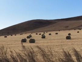 aeDPHrTgEPKZnlIqj6KHFoOQOokZpv5Q-LQYrMUNDpXlntxaRQnCsyXnWQ8MLzdU