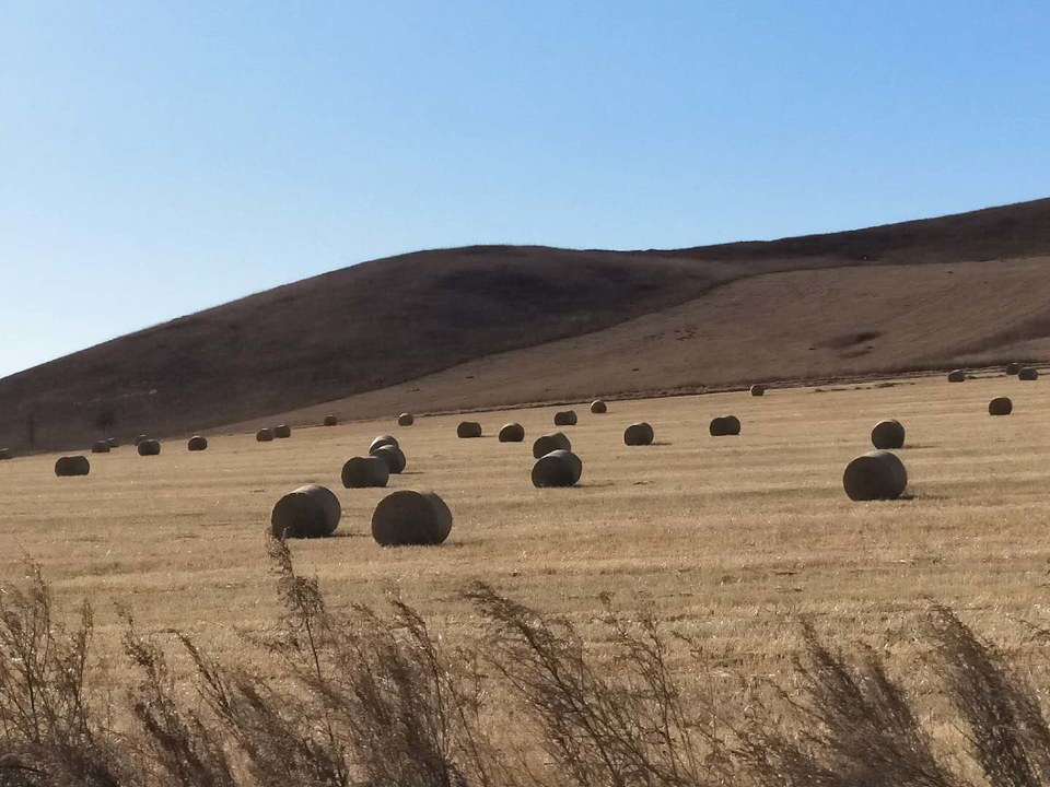 aeDPHrTgEPKZnlIqj6KHFoOQOokZpv5Q-LQYrMUNDpXlntxaRQnCsyXnWQ8MLzdU