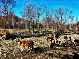 qbBukT4IzalCNFE_YcSbYZAlDTm-gKPr_ALw9II0IBIobZjb8KXHB-aosseI2Jy8