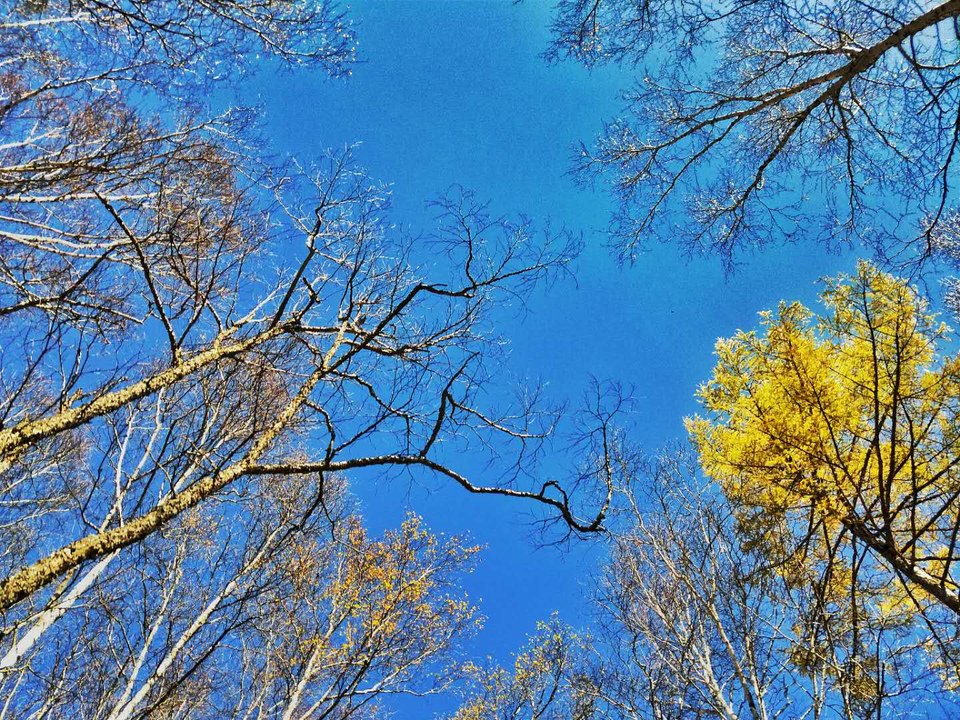 QvcUFGdYGwZwj9ZbBSVQpr49DUP0ww8hyx27JwSmq_1YbF-deuWBV1N4d6lfGxxf