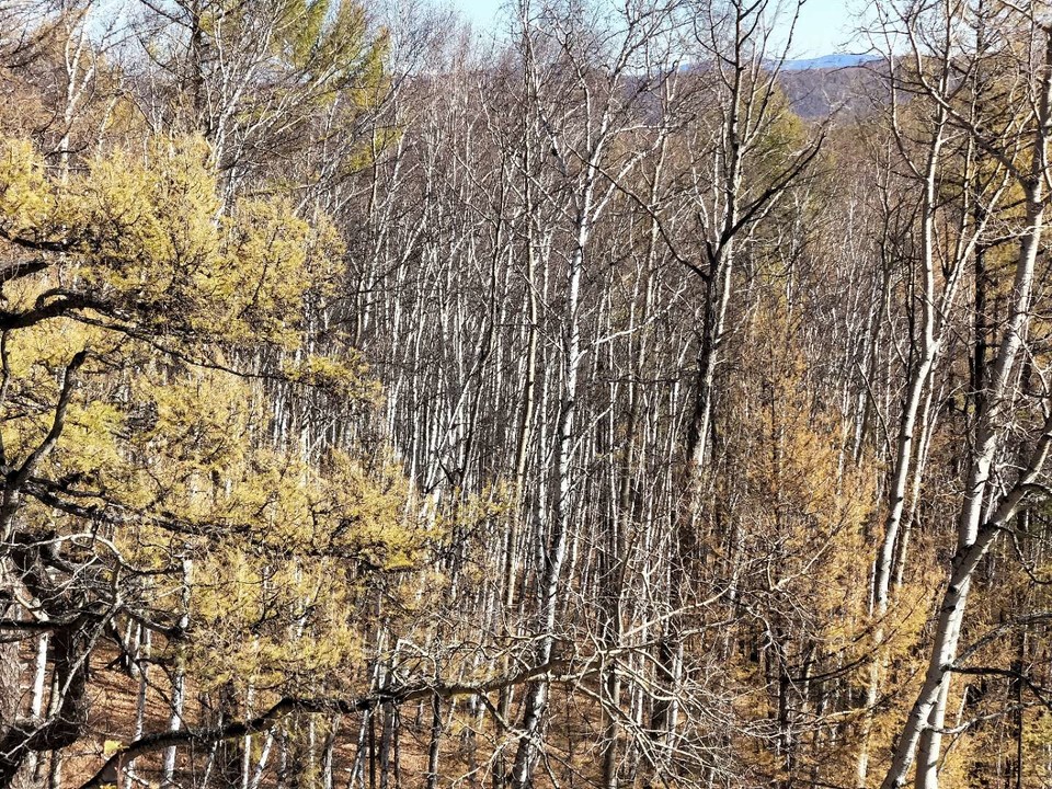 AhcJrO0rUaArED5nZJr3OLVhl6pwiSytbJWfCz3Jo_mHVChbDULvmQSh1QEIpKQF