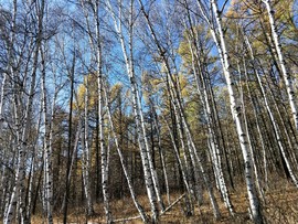 z1UqdJLOFFpW4PAESvf3aIdszFqwFTUV6mBiSXCks4hKl4P26BKEEu71lxegEmPe