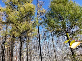 i3cuvcHkoiQs8-MfTJ_jjI4H4JI2MQCIt9m1nQbXcxJkQMF4PKKRHD1US8KuvTS8