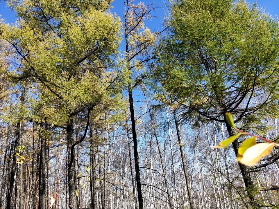 i3cuvcHkoiQs8-MfTJ_jjI4H4JI2MQCIt9m1nQbXcxJkQMF4PKKRHD1US8KuvTS8