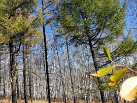 jbm_M-eoMho1FR6WcW8uJz7phuQGpP13ZoPijvdEZ14MRft8JKPYUZGSkytlGU5P