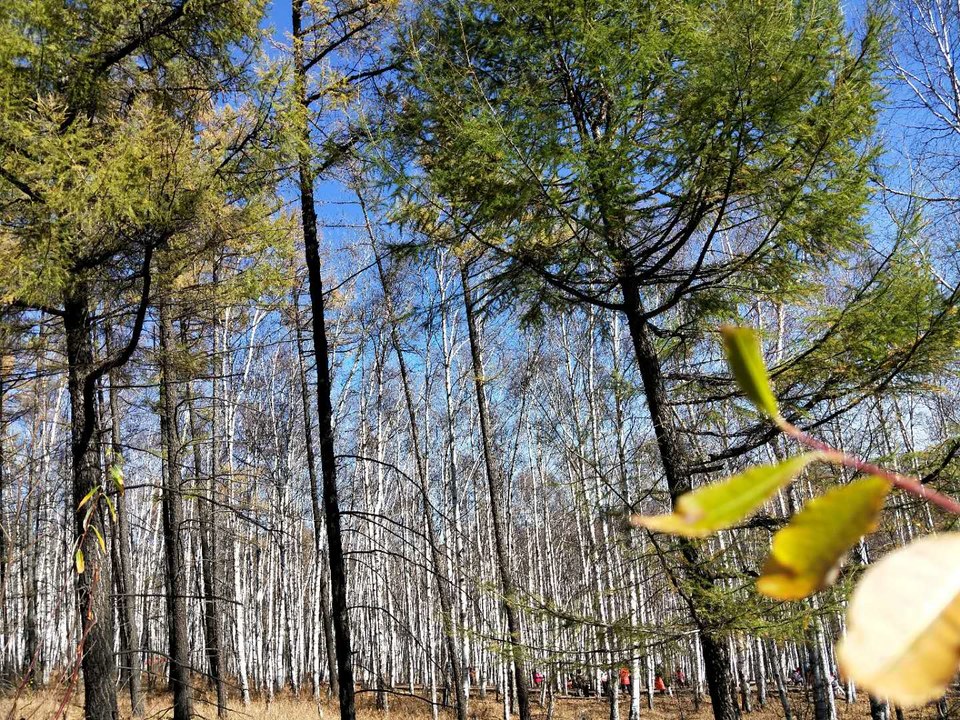 jbm_M-eoMho1FR6WcW8uJz7phuQGpP13ZoPijvdEZ14MRft8JKPYUZGSkytlGU5P