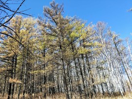 y-uRwMmjiQlk-sWC_x7FdQV7G50YKsUjFb5_FwHtek9rbaawaFKBlzlZdYmoDbFK