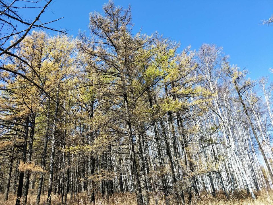 y-uRwMmjiQlk-sWC_x7FdQV7G50YKsUjFb5_FwHtek9rbaawaFKBlzlZdYmoDbFK