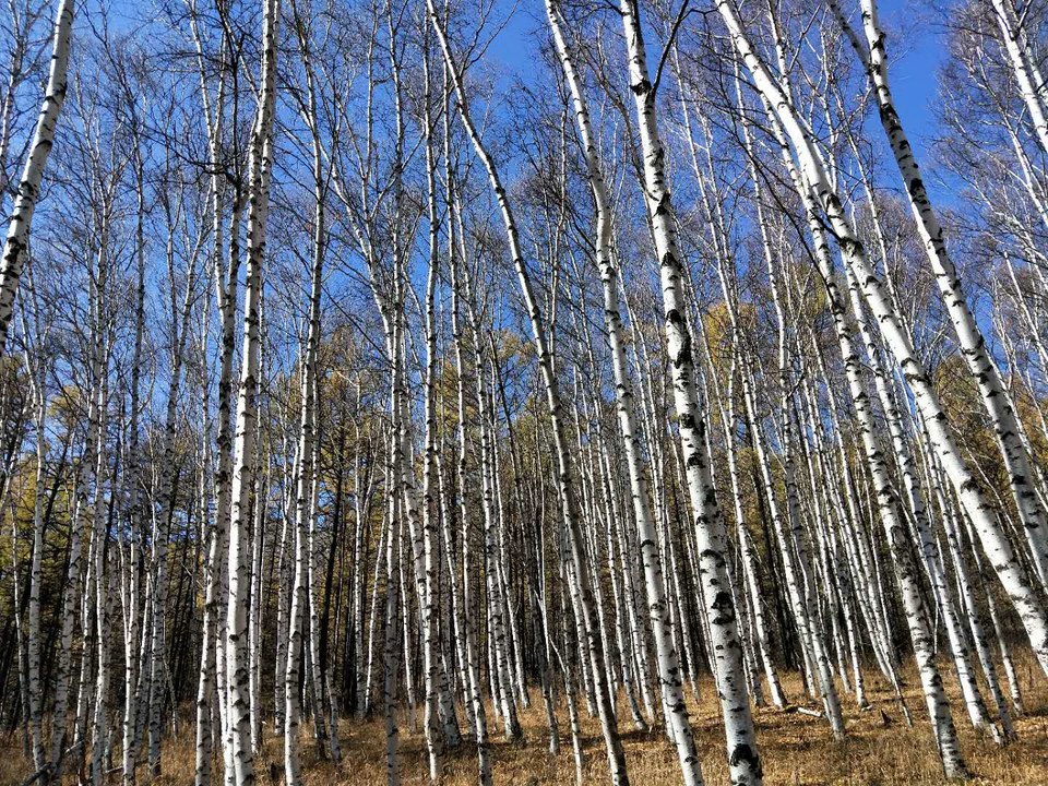 -g-5cj-0cRhrmgbrbc5AWTM6L4h6jx_L9b1XXXugZKaJbPVchcOFhEi0_XjXgJ4U