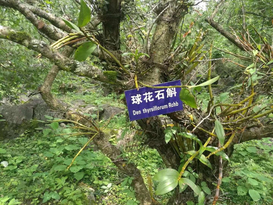 6kGNgbf4NsCPW4B_fbT6AyveJy6tL6ymikiO8vrc5Hnktu7lOh7gTXmzL83aLufS