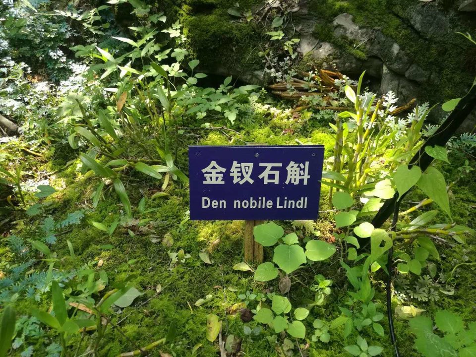 sWgoCYVfR0L8J5CR4iPpZkYJN6N9pfLgVJGhxDMxxSXHG534U_i_4psfhEW9Woot